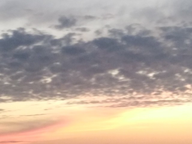 IMG_20201008_192622.jpg IMG_20201008_192622.jpg