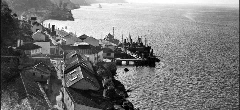 Companhia Portuguesa de Pescas.jpg