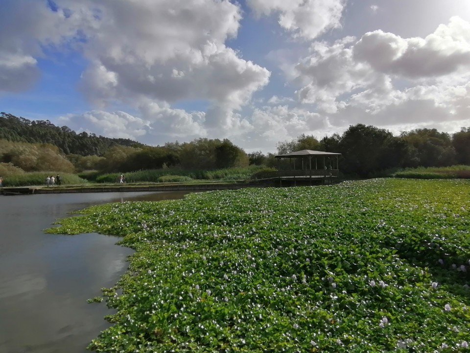 IMG_20201004_165229.jpg IMG_20201004_165229.jpg