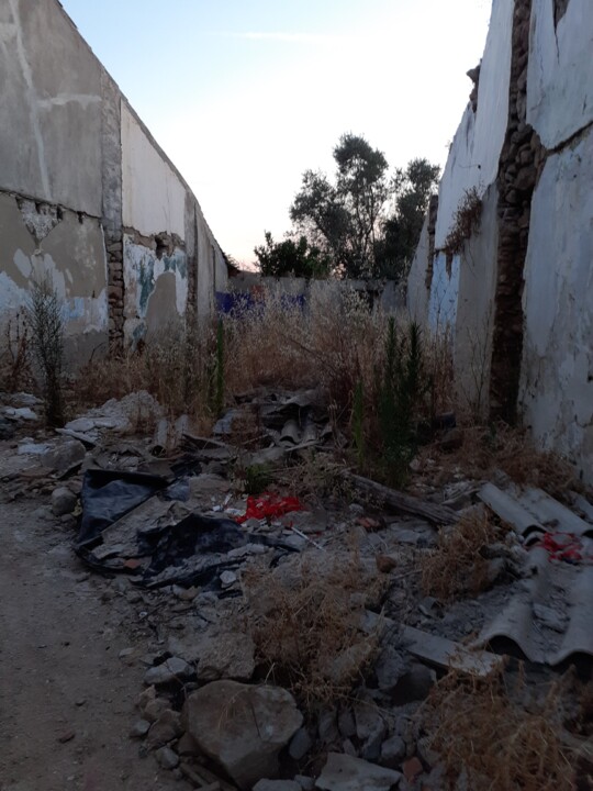 Quintal não limpo. Foto original. 2022.06.29.jpg