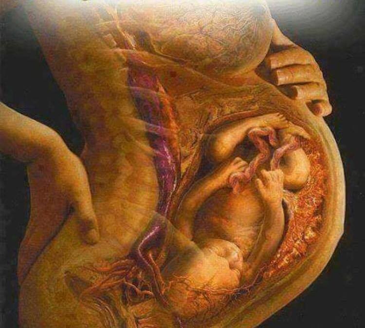 A MARIA HÁ 2021 ANOS DEVIA ESTAR ASSIM.jpg