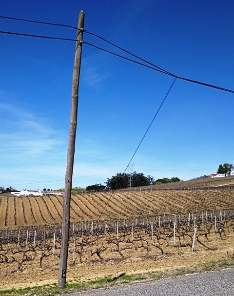 IMG_20190318_162515.jpg IMG_20190318_162515.jpg