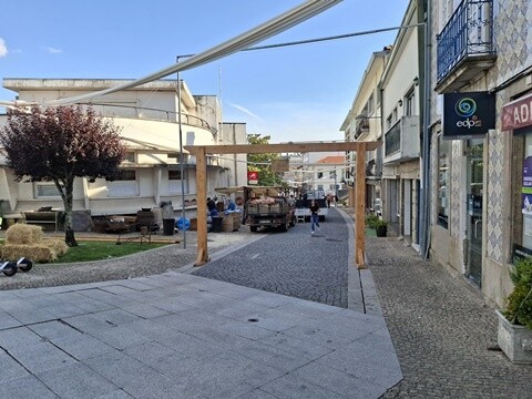 16d_MMA_Montagem (34) - Cópia.jpg