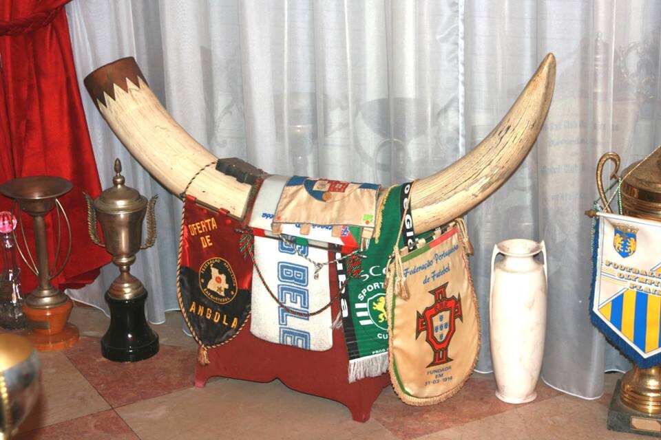 sala troféus-.-..jpg