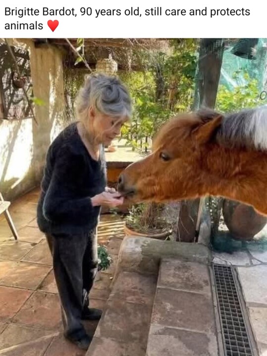 Screenshot_2025-09-21-15-43-26-513-edit_com.facebo