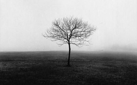 16425776_1462376040453672_7911015441821982659_n.jp