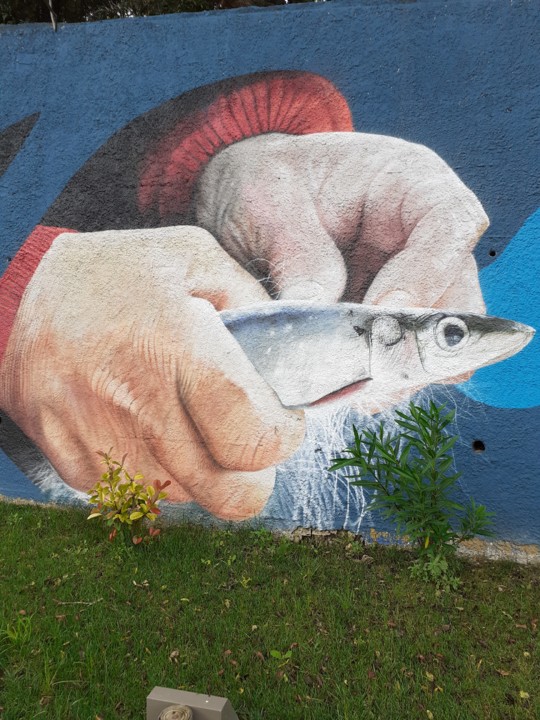 Painel Setúbal. Sardinha. Foto original. 2021.06.21.jpg