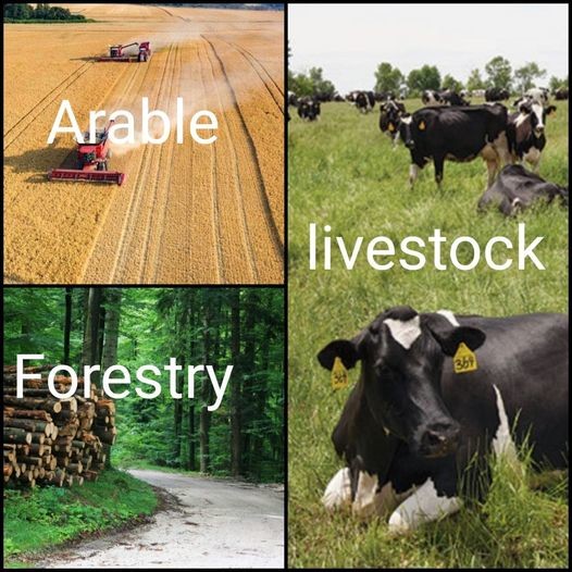 zfarmers.jpg