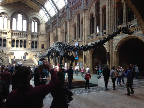 Sem Títulomuseum.png Sem Títulomuseum.png