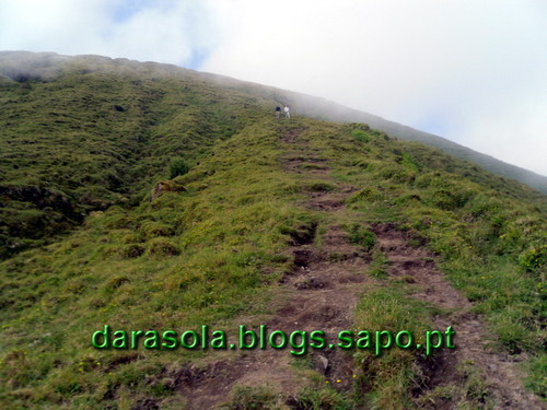 Azores_Faial_caldeirao_15.JPG