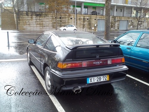 alem corgo Fevereiro 2016  (13).jpg