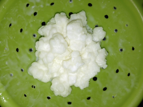 kefir.png