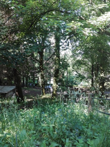 IMG_20180616_104418.jpg IMG_20180616_104418.jpg