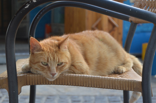 CruzeiroAdriatiMedit (628).jpg