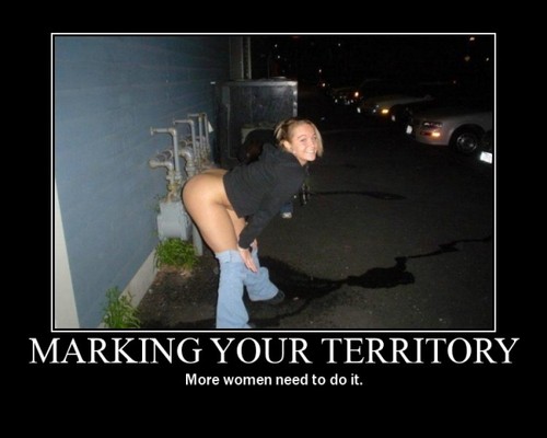 Marking Your Territory