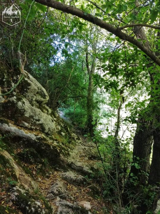 Photo_1596311969629.jpg Photo_1596311969629.jpg