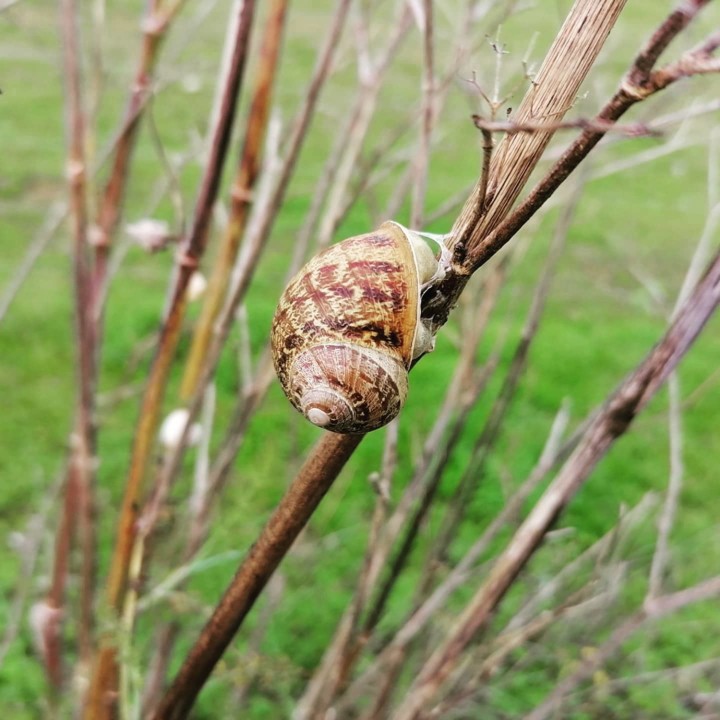 141187369_1931263770346708_6311427888848078170_o.j