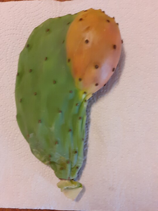 Figo da Índia. Foto original.  2022.09.07. jpg