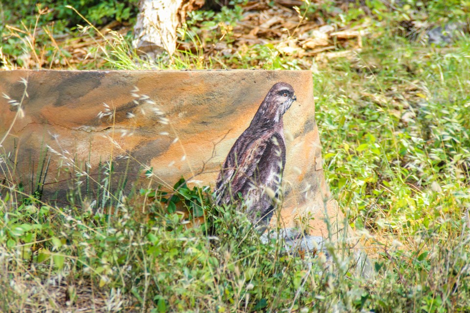 trilho das vinhas-55.jpg