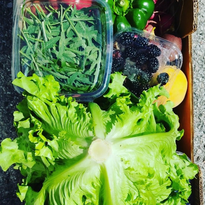 224718687_2077576135715470_2012613178547605989_n.j