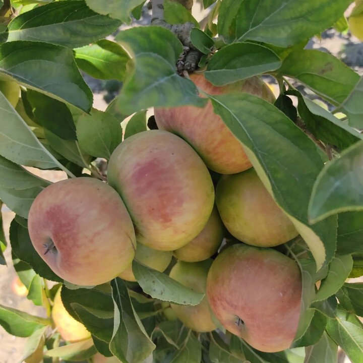 360127359_656530196504394_7037073679042526421_n.jp