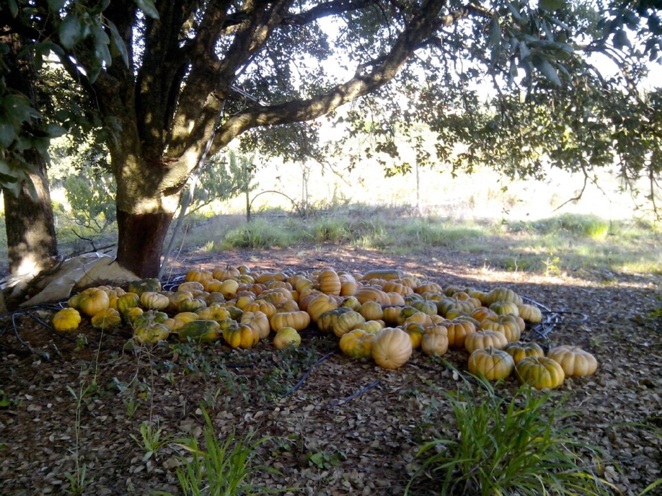 481457474_1034790028678407_6011947299578058730_n.j