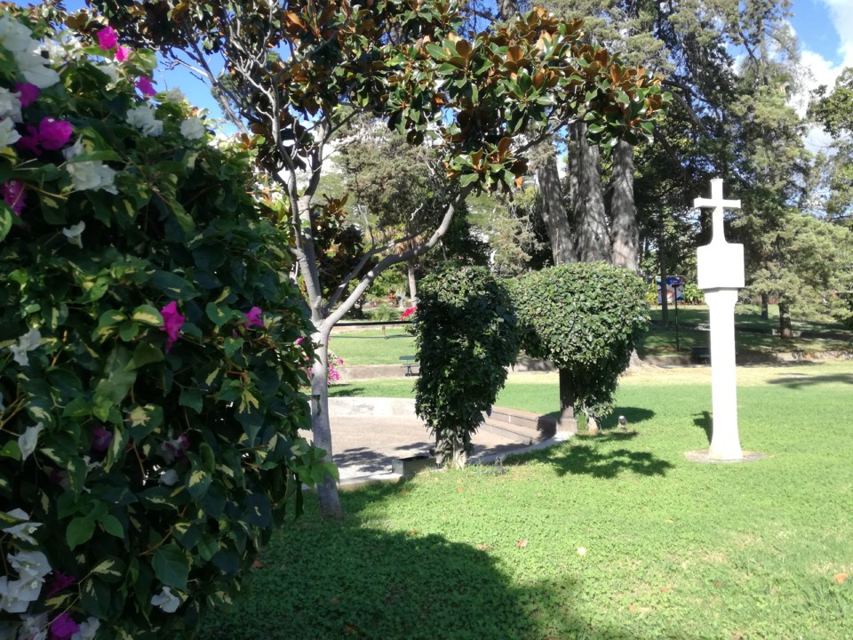 IMG_20191117_110821.jpg IMG_20191117_110821.jpg