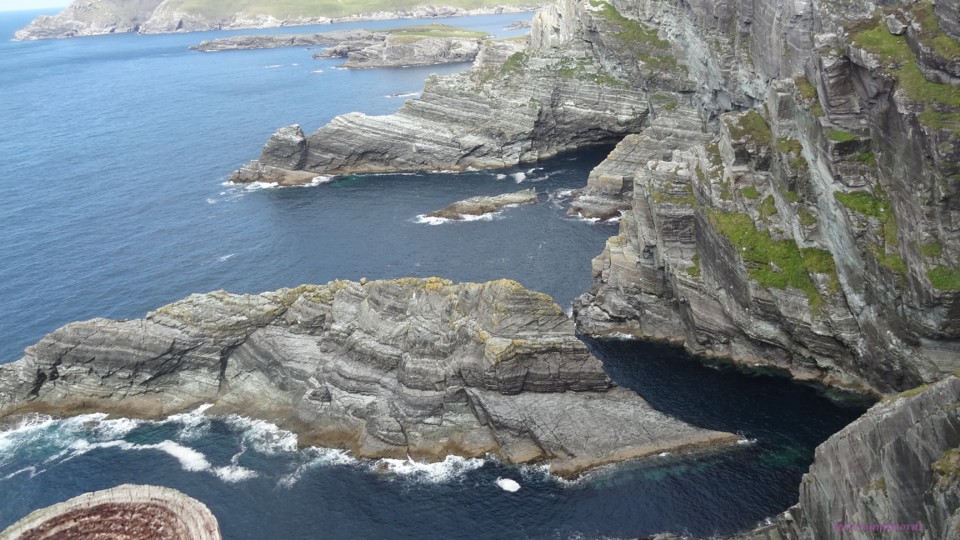 DSC07062.JPG DSC07062.JPG