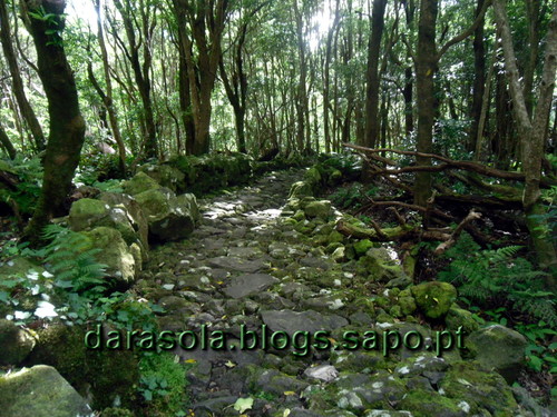 azores_flores_alagoinha_18.JPG