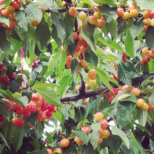 36265015_1126516734154753_4866096550780076032_n.jp