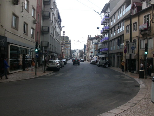 CIMG8249.JPG CIMG8249.JPG