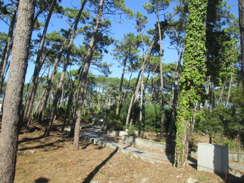 IMG_3795.JPG IMG_3795.JPG