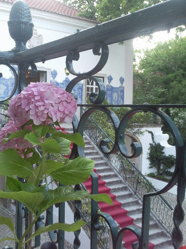 Solar Zagallos Foto original DAPL 2015.jpg