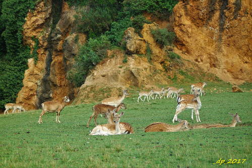 SAM_0493.JPG SAM_0493.JPG