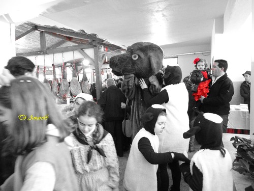 Feira do Queijo Em Seia !!! 160.jpg