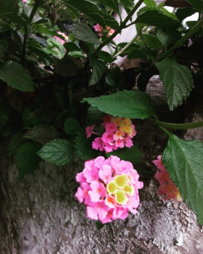 2018-05-20 10.jpg 2018-05-20 10.jpg