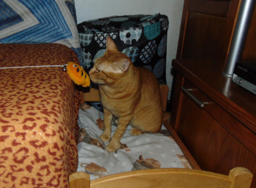 JPG0023.JPG JPG0023.JPG