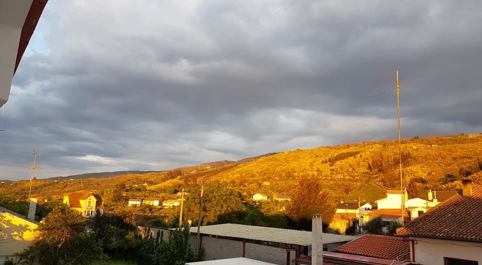 Fotos recentes de Melo.jpeg