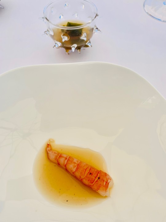 IMG_2345.jpg IMG_2345.jpg