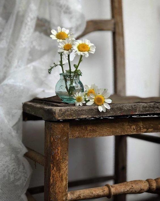 50822274_2035516069908686_6349801124966432768_n.jp