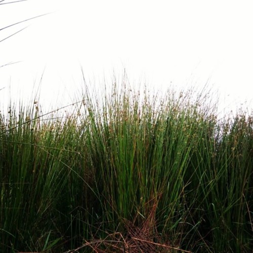 34962753_1886742488299931_1240778187382718464_o.jp 34962753_1886742488299931_1240778187382718464_o.jp