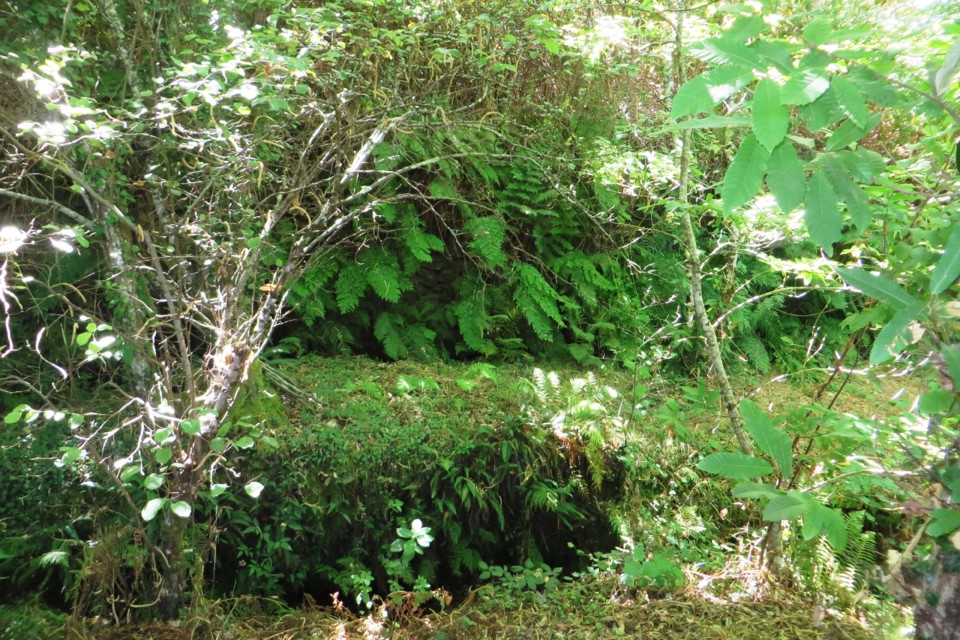 IMG_3034.JPG IMG_3034.JPG