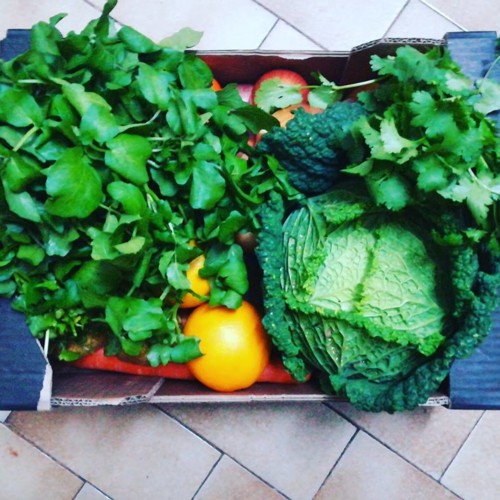 46142149_1244417895697969_1672598223706914816_n.jp