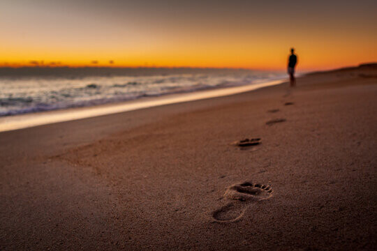 360_F_364507729_x7LosqHwptXVDQOVU9CTUc05tDBtB7ly.j