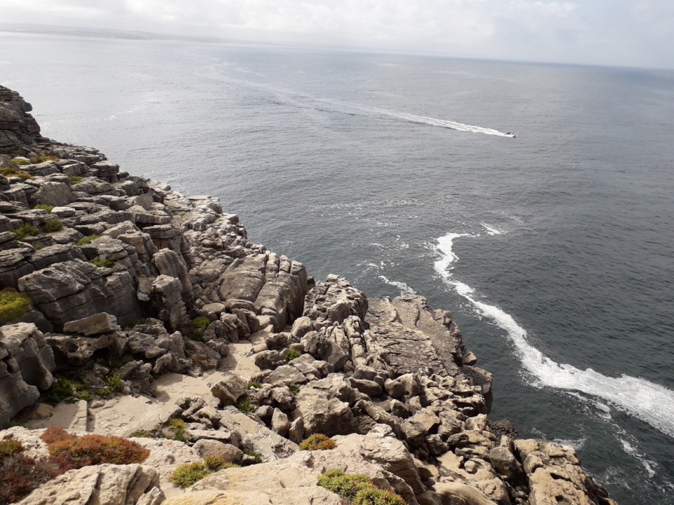 20190804_101931.jpg 20190804_101931.jpg