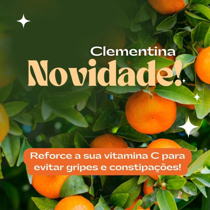 311033246_2436535689819511_1245383132800466431_n.j