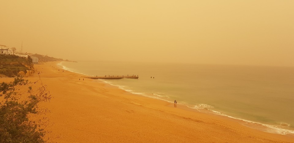 276015355_3169391300008951_6754672764284241212_n.j