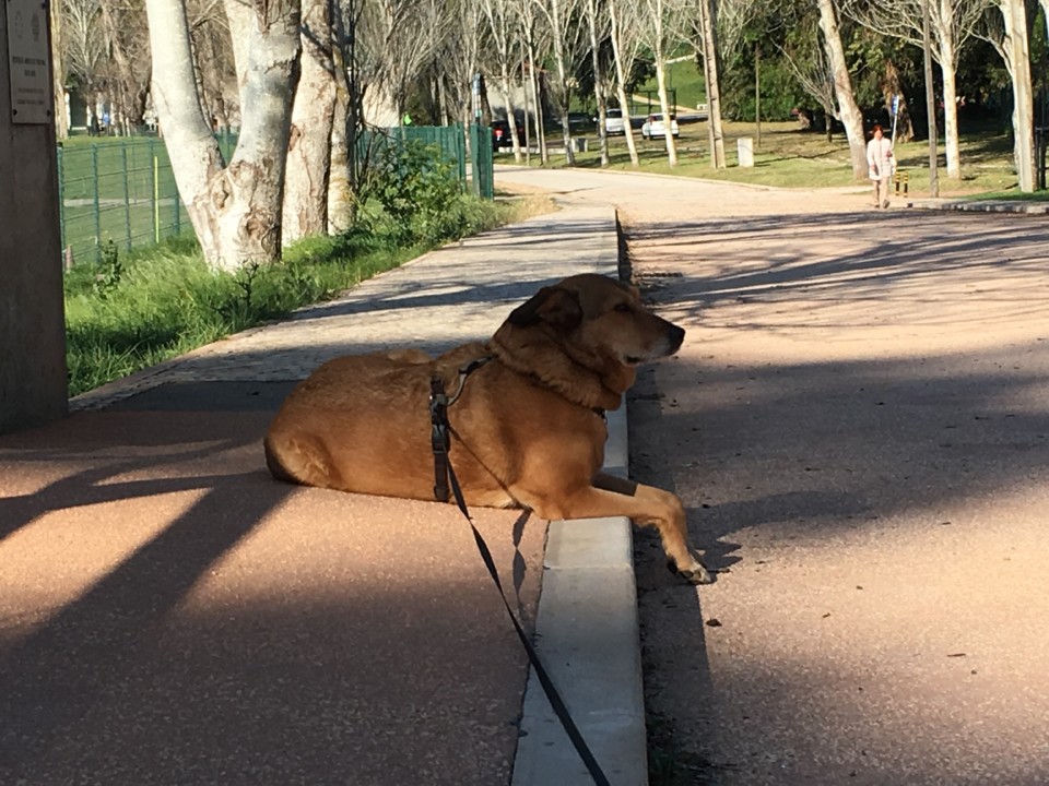 iPhone - Photo 2020-03-17 08_56_29 (1).jpeg iPhone - Photo 2020-03-17 08_56_29 (1).jpeg