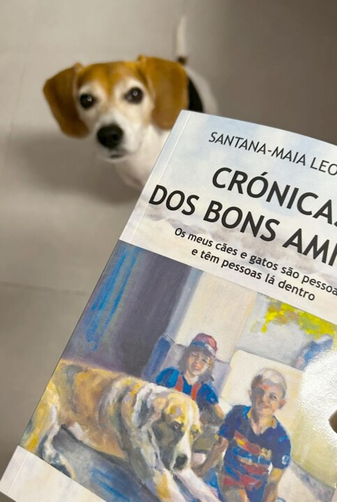 347254467_988759332151868_8869774764163196072_n.jp