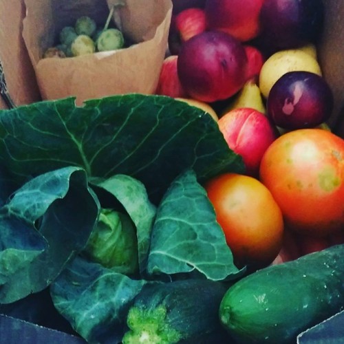 21271102_960813294058432_3061880349669159032_n.jpg 21271102_960813294058432_3061880349669159032_n.jpg